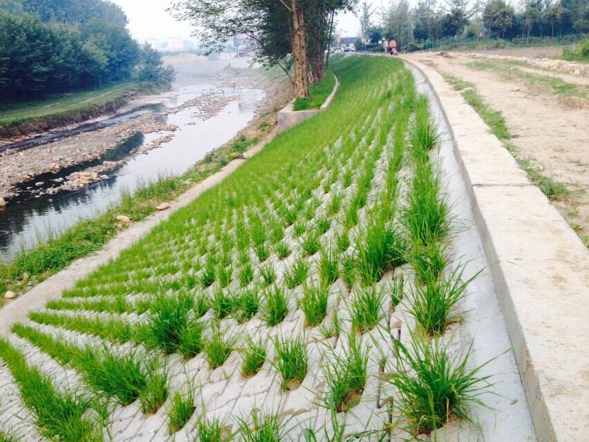 聯(lián)心式生態(tài)護坡