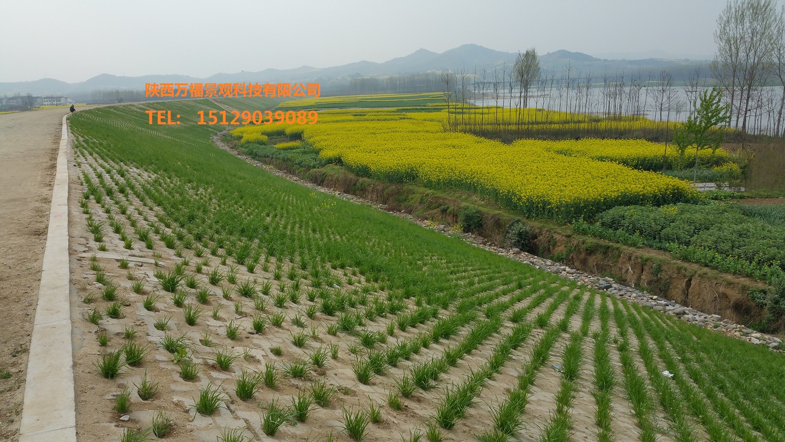 聯(lián)心式生態(tài)護坡