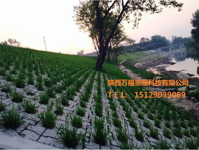 聯(lián)心式生態(tài)護坡