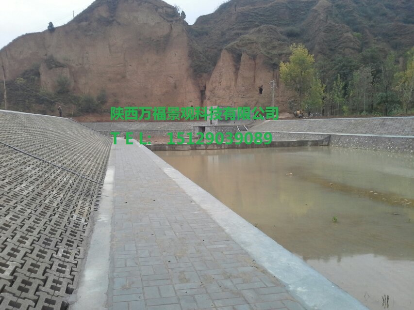 聯(lián)心式生態(tài)護坡