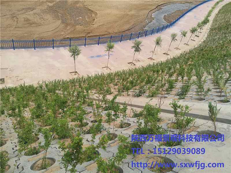 平鋪景觀(guān)生態(tài)護(hù)坡 榆林市子洲縣大理河高